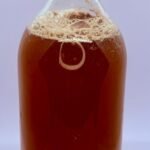 Vanille Cola Kombucha