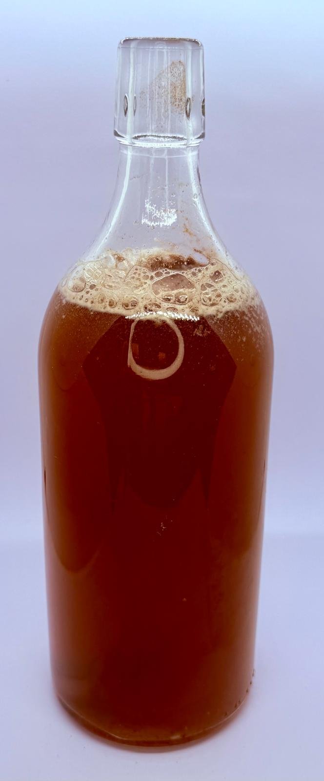 Vanille Cola Kombucha