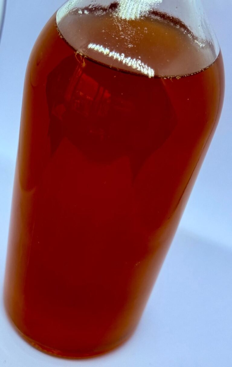 Orange Dream Kombucha