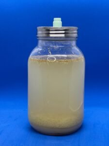 Een glazen pot met een bruisende vloeistof als resultaat van dit basisrecept gemberbug maken